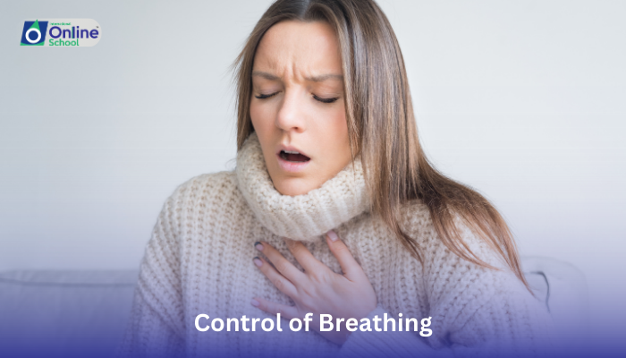 Lesson 05: Control of Breathing